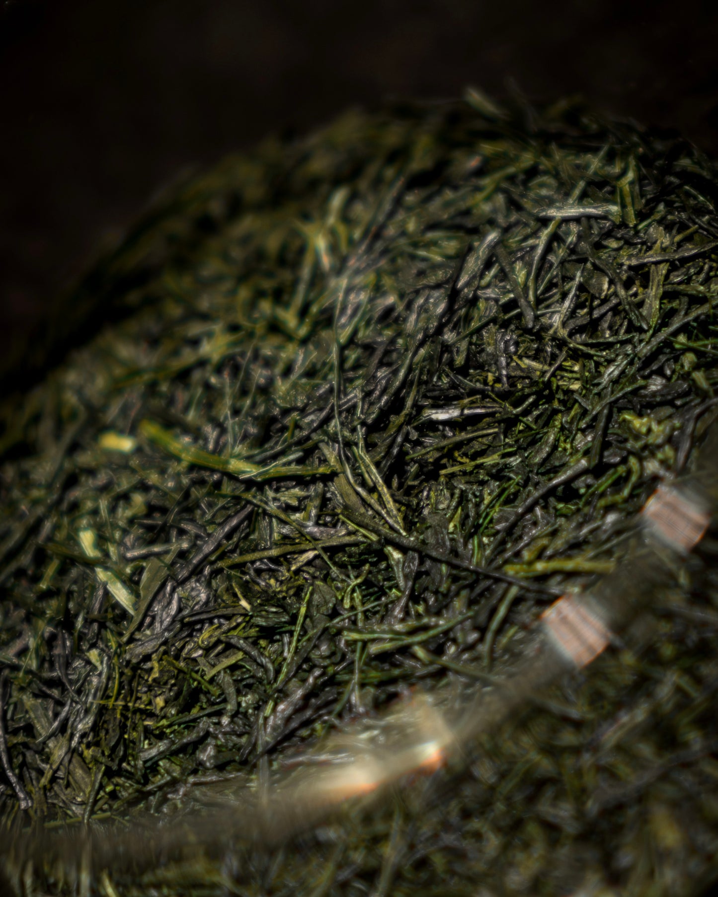 Dento Hon Gyokuro Kirari 31