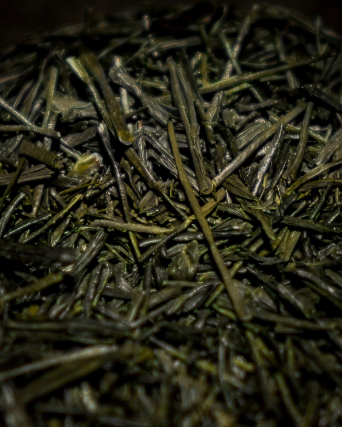 Sencha Kondowase