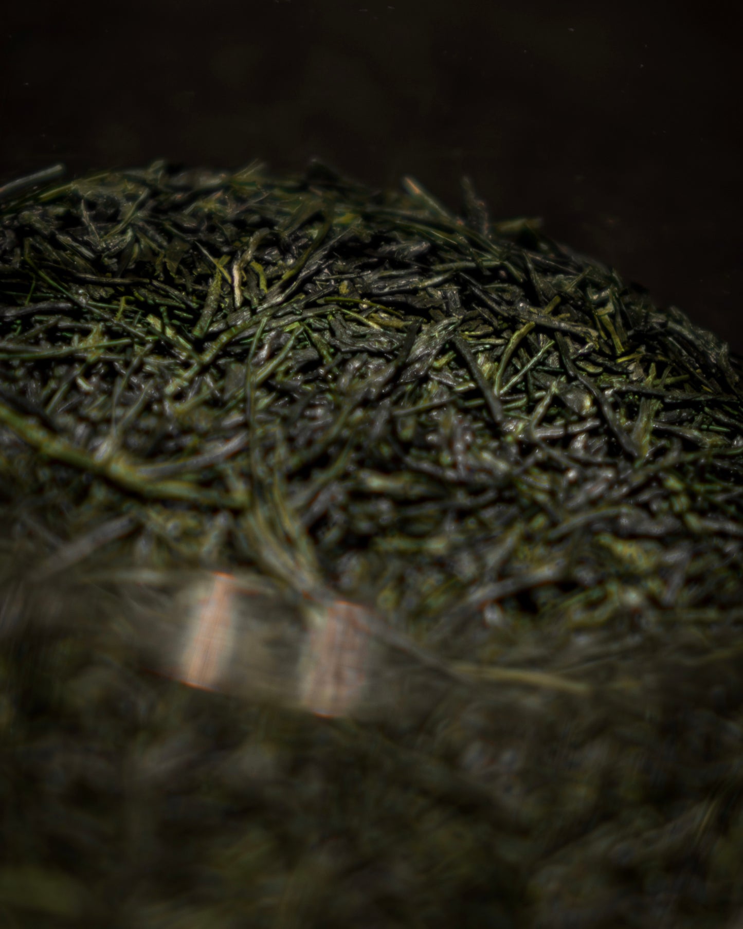 Dento Hon Gyokuro Kirari 31