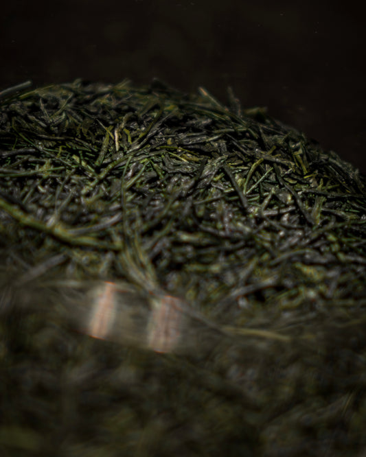 Dento Hon Gyokuro Kirari 31