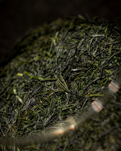 Dento Hon Gyokuro Kirari 31