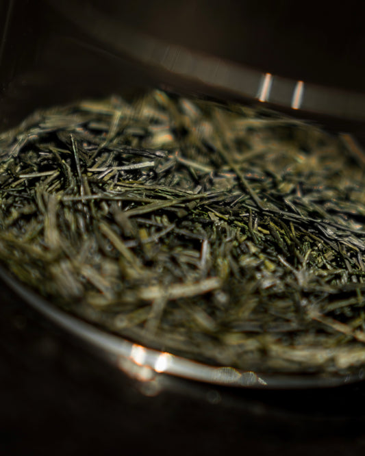 Sencha Kondowase