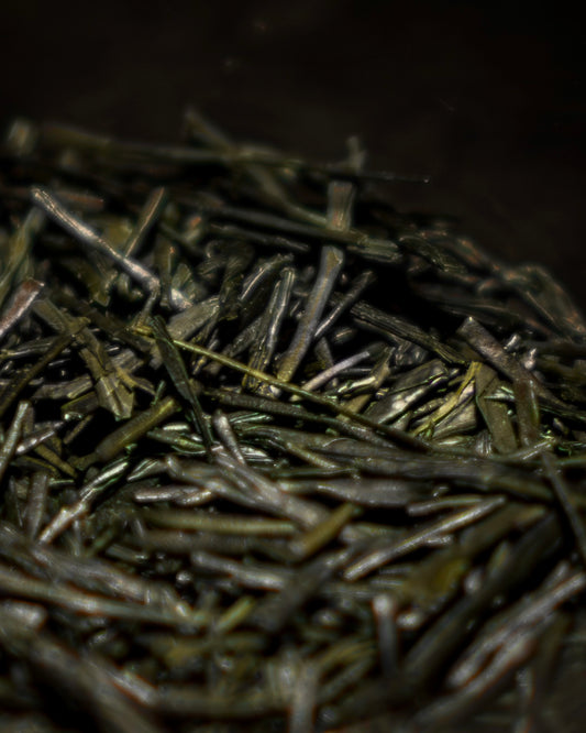 Sencha Yabukita & Omune